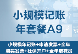小規模記賬年套餐A9